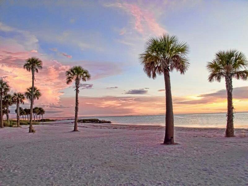Hibiscus Hideaway Villa Tarpon Springs Exterior photo